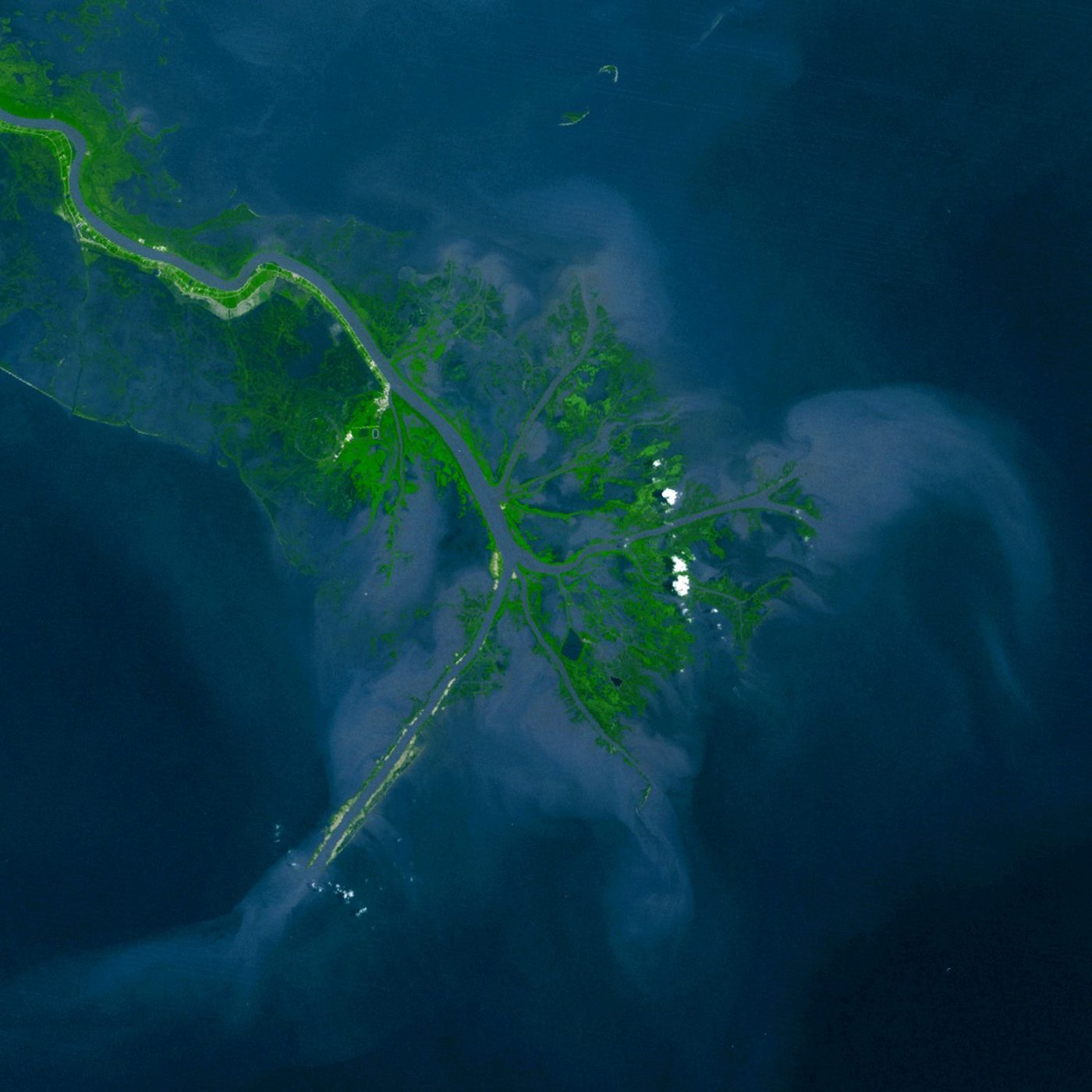 Landsat image of the Mississippi's bird's-foot delta