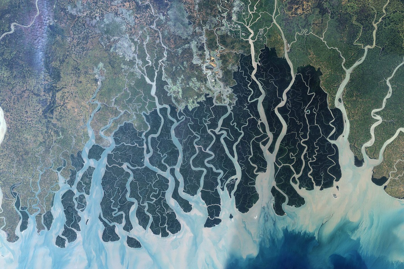 Landsat mosaic of the Sundarbans forest in the Ganga-Brahmaputra delta