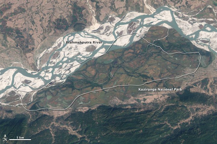 Satellite image of the braided Brahmaputra beside Kaziranga National Park