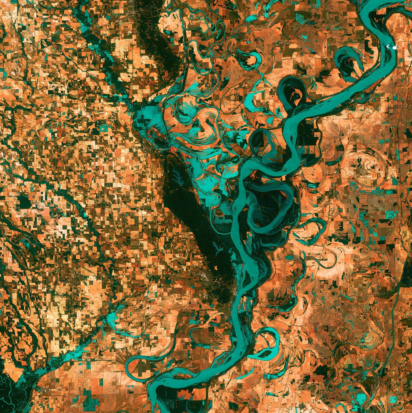 Landsat image of the meandering Mississippi with many oxbow lakes