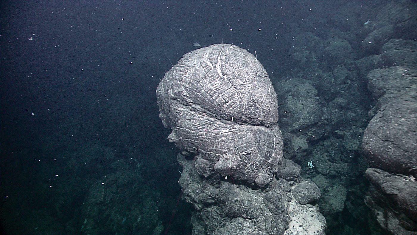 Pillow lava on the Galapagos Rift sea floor