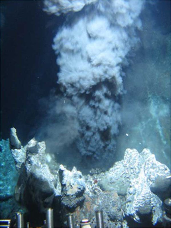 A black smoker chimney on the Endeavour vent field